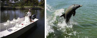 Everglades City boat tours