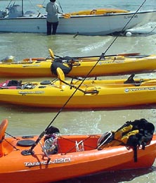 everglades boat tours