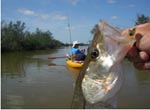 Everglades kayak fishing – Off-The-Beaten Path Adventures and Eclectic  Musings Of An Itinerant Angler