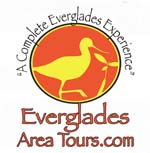 Everglades birding and photography tours